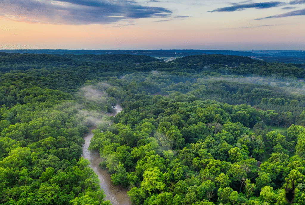 What is FSC Certification ?